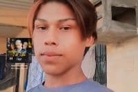 Novinho ivo